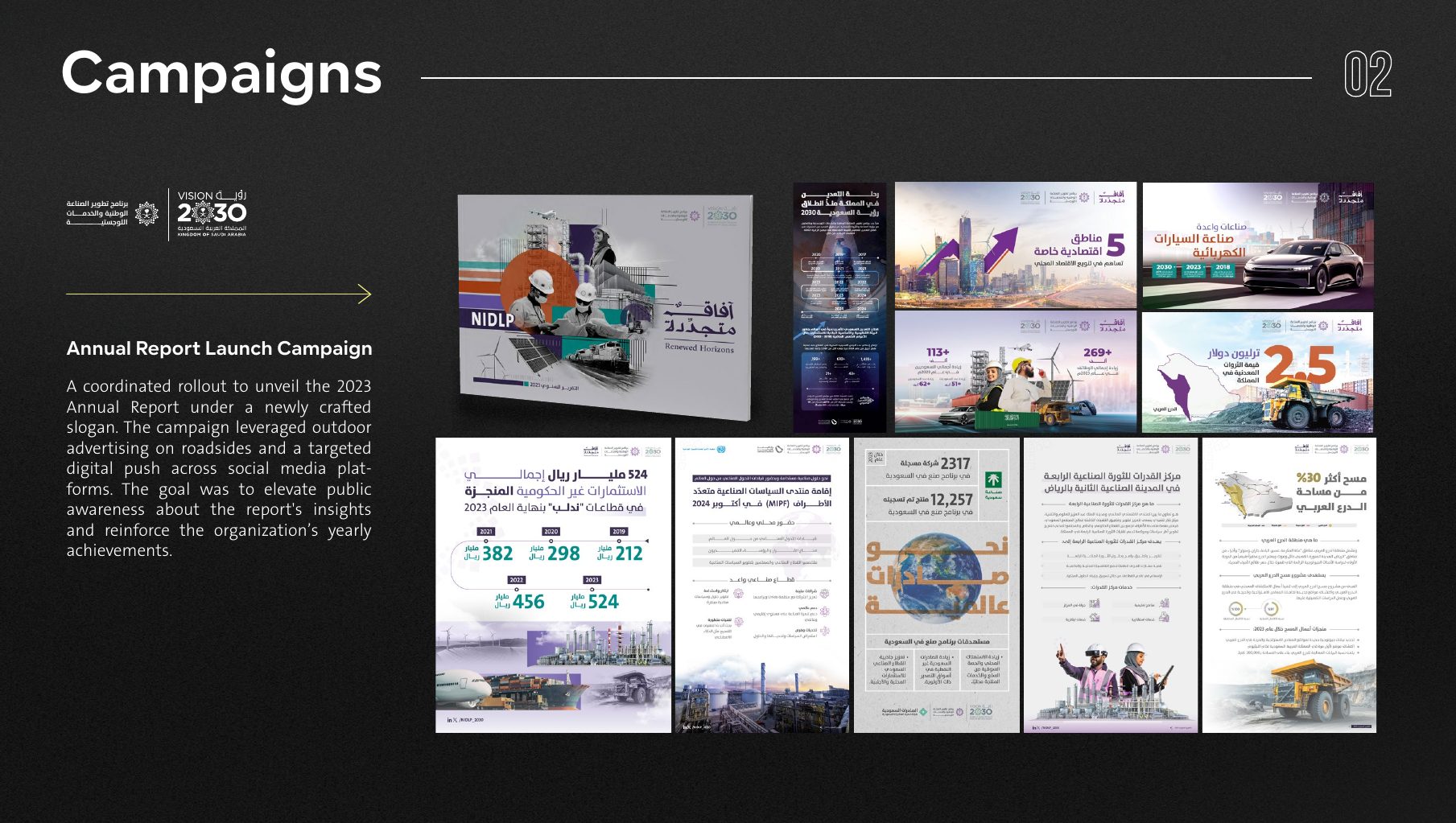 NIDLP annual report launch campaign