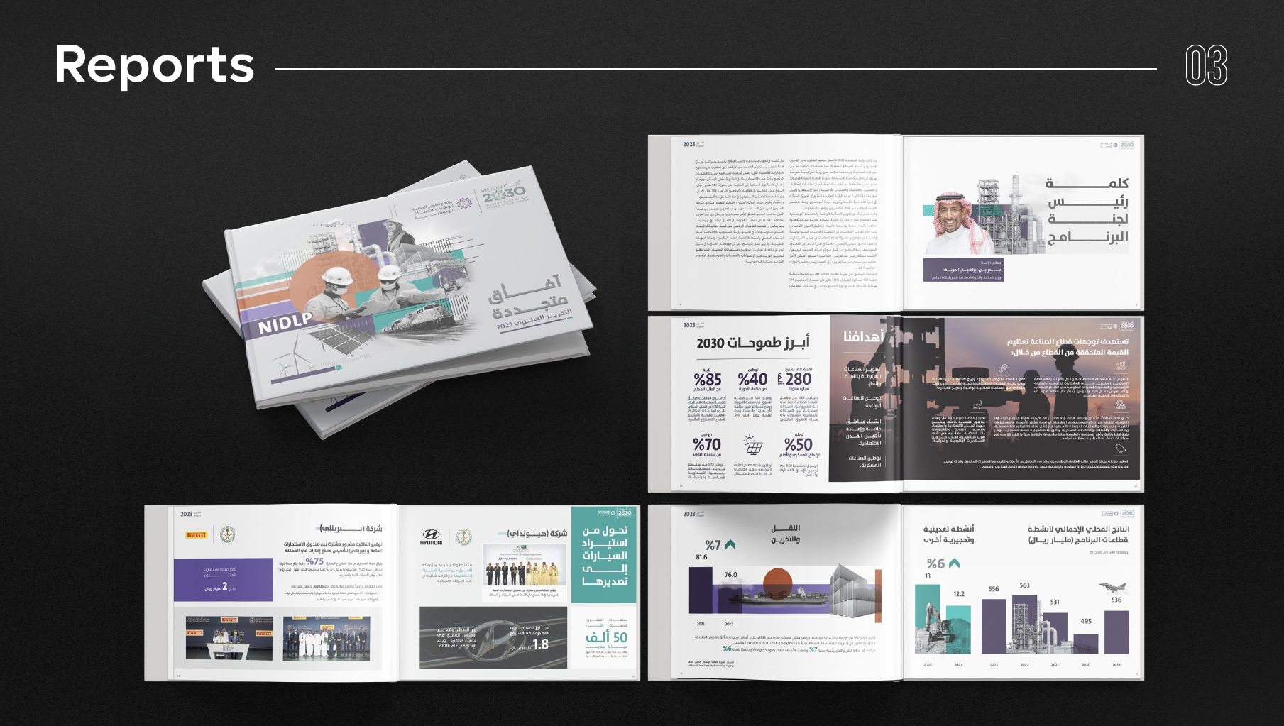 Report design — NIDLP annual report 2023